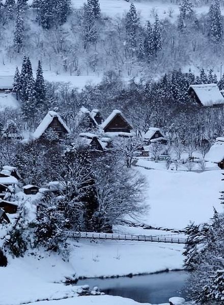 Зима. Как тихо, ветра нету. Стоят деревья все в снегу. Мороз окутал пол планеты, Рисуя снегом ... - 6