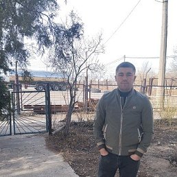 , 29, 