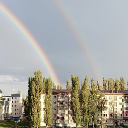 ������, �������, 46 ���