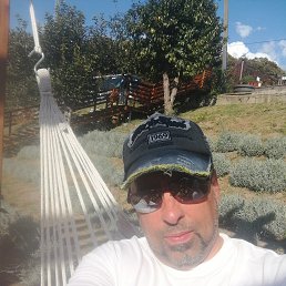 ���� ����, ���������, 53 ���� - ��������� 1 ������ 2025