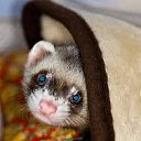 ���� �����, ����� - ��������� 22 ������� 2024 � ������ ���� ����������