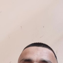 , 29, 