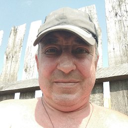 , 61, 