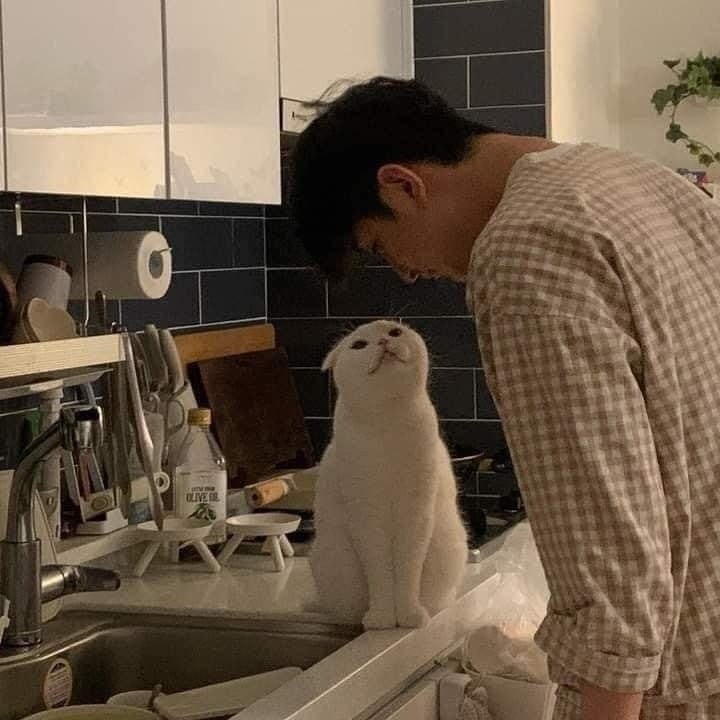   ,     ,       ... - 2