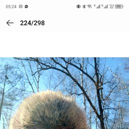 , 34, 