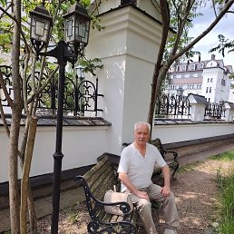 , 65, 
