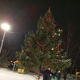 ���� ����, ��������, 53 ���� - ��������� 25 ������ 2024