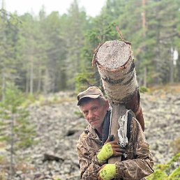 �������, �����������, 50 ���