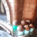 ���� ���������, ������, 70 ��� - ��������� 17 ������ 2026 � ������ ���� ����������