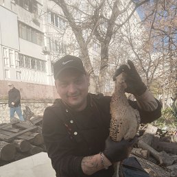 , 38, 