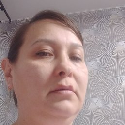 �����, ��������, 41 ���