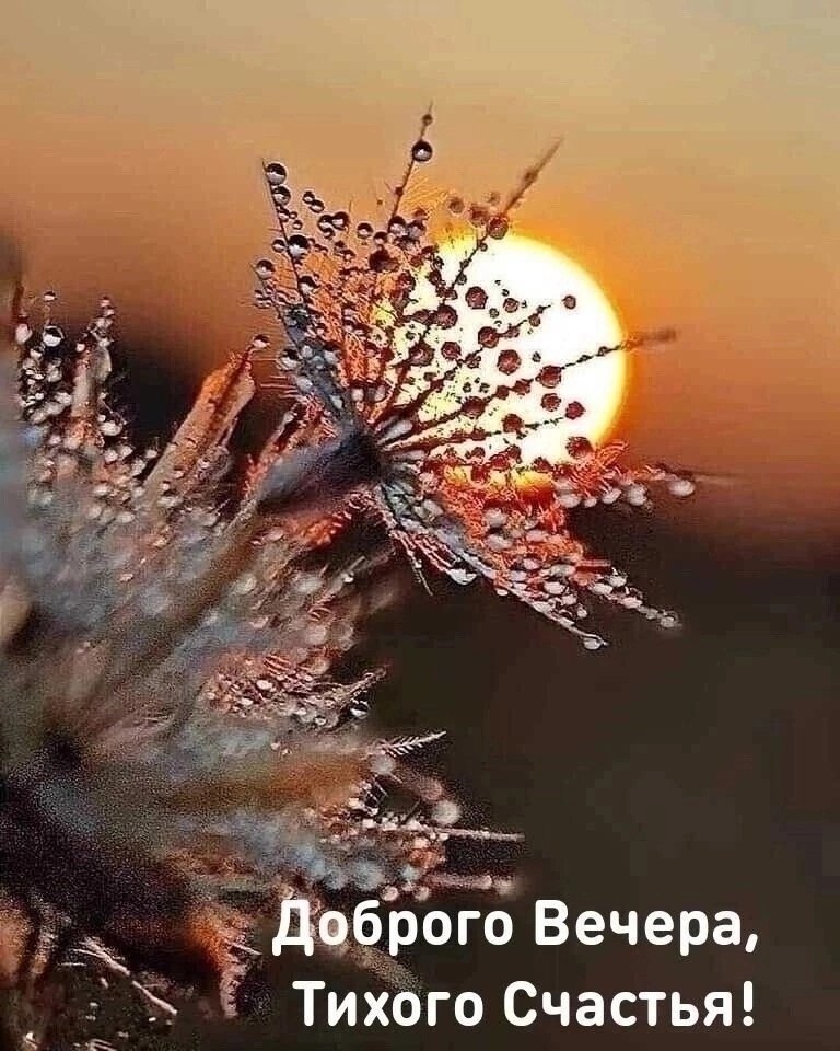   ,    . - 17  2025  19:40