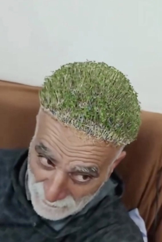Ÿ    . - 2