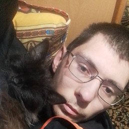 , 29, 