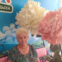 , 66, 