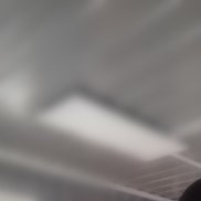 �������, 42 ����, �������