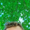 ���� �����, ������, 38 ��� - ��������� 20 ������� 2026 � ������ ���� ����������