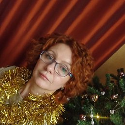 ����, �����-���������, 54 ����