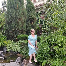 , 53, 