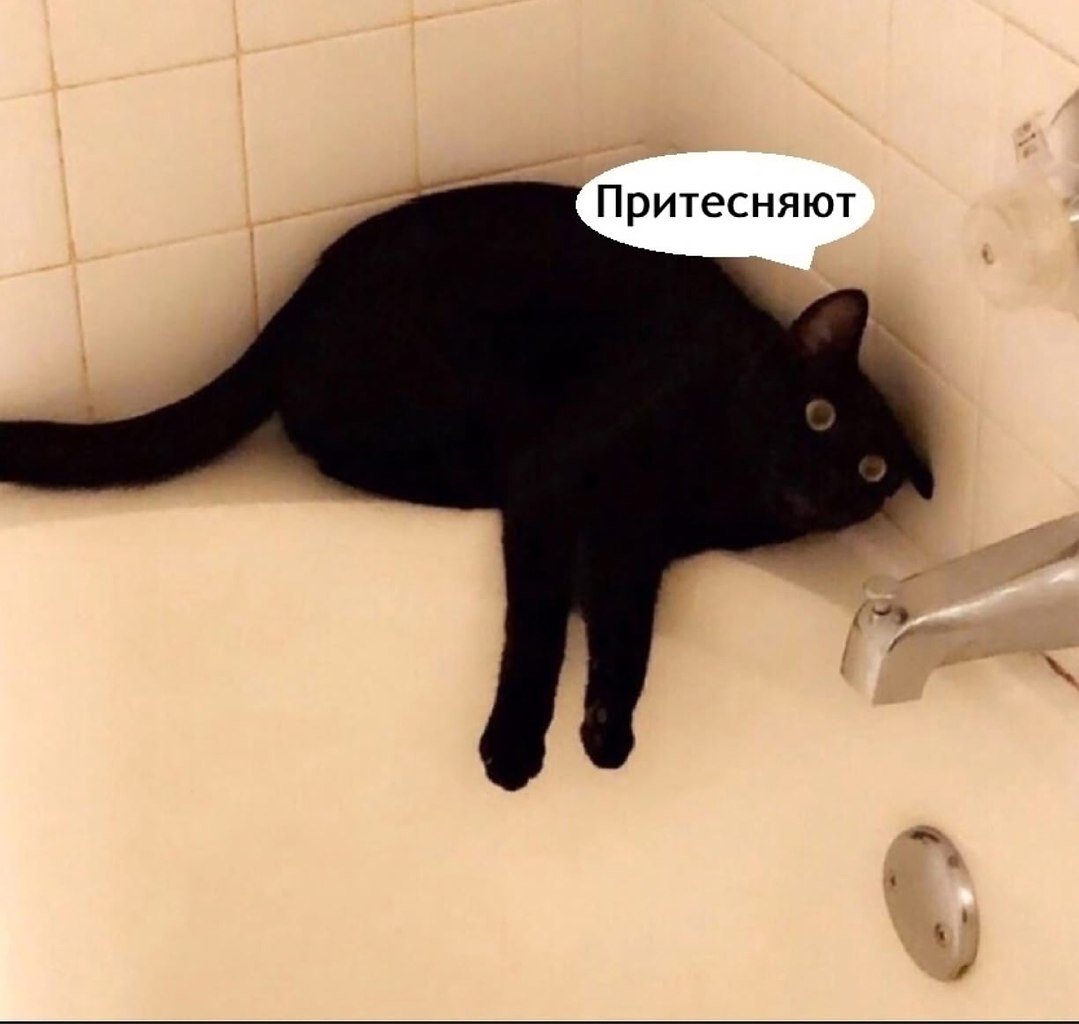 ���� - 18 �������� 2025 � 11:16 - 6