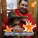���� ������, ������, 43 ���� - ��������� 4 ���� 2026 � ������ ���� ����������