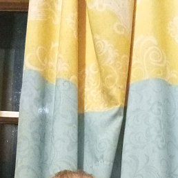 , 47, 