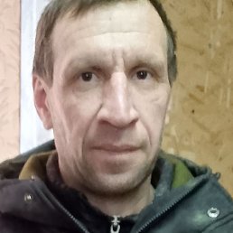 �������, ������, 46 ���