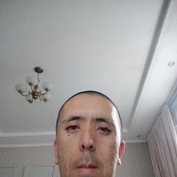 , 29, 