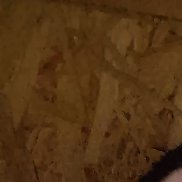 ����, 37 ���, ������