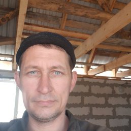 �������, 48 ���, ������