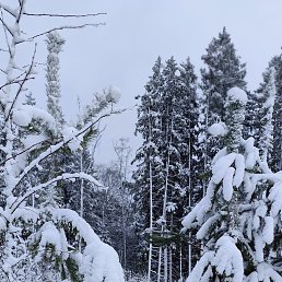 �������, 20 ���, ����������