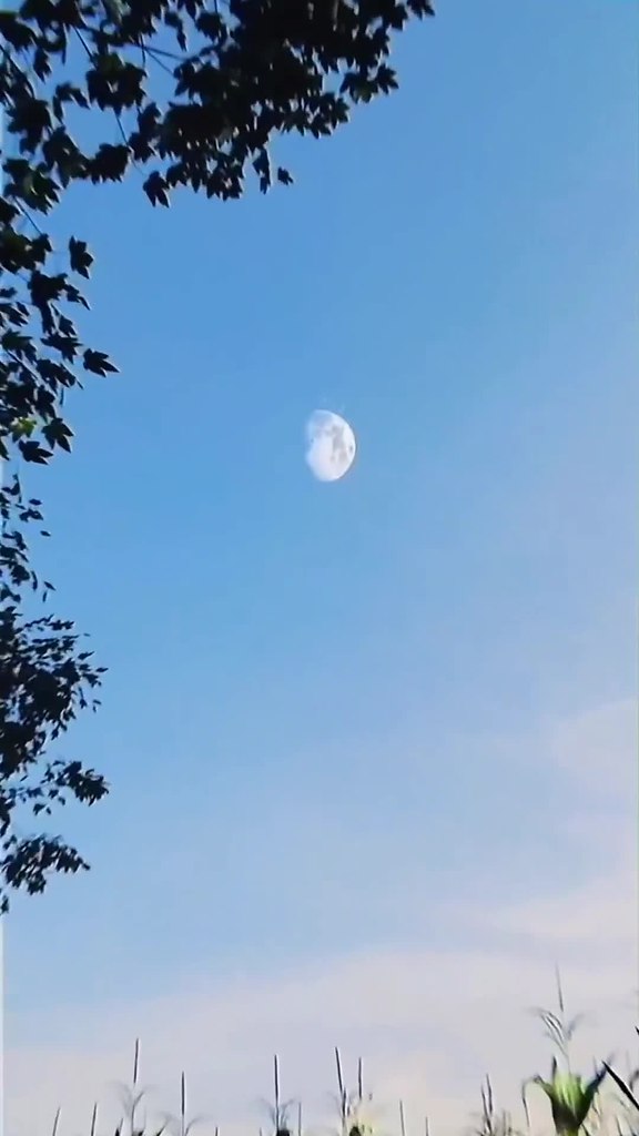   !   - 2