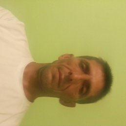 �������, ������, 48 ���