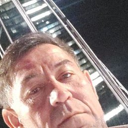 ������, �����-���������, 47 ���