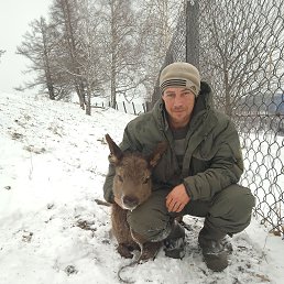 , 29 , 