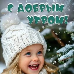 ���� �������, ������, 62 ���� - ��������� 24 ������ 2026