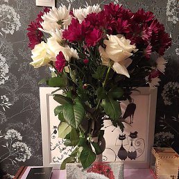 ���, ������, 38 ���