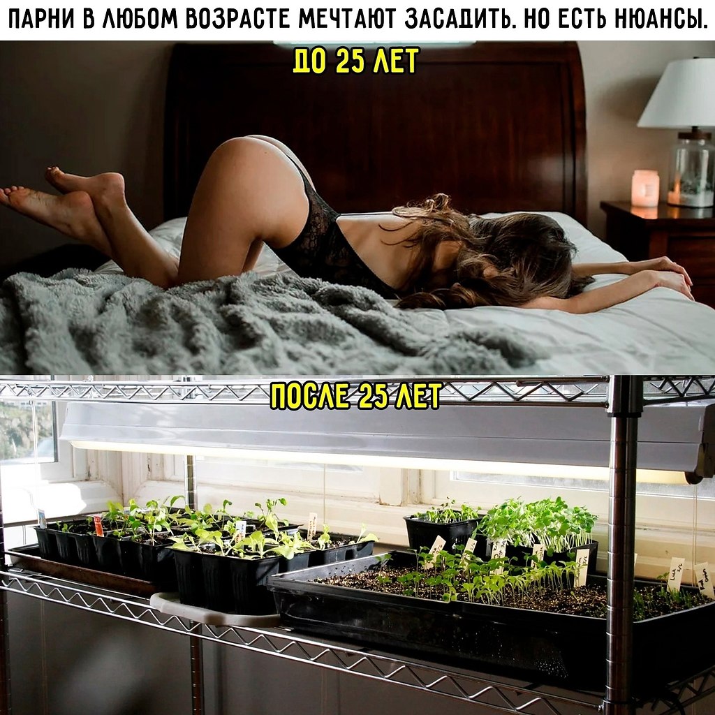  - 27  2025  20:10