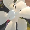 ���� ��������, ������, 47 ��� - ��������� 30 ������� 2024 � ������ ���� ����������