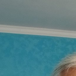 ������, ������, 65 ���