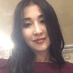 ���� ���, ������, 33 ���� - ��������� 17 ������ 2023