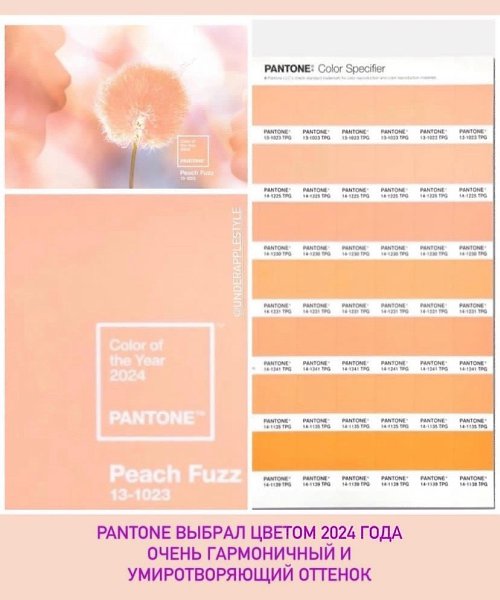    Peach.Fuzz   2024     Pantone