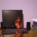 ���� ���� �������, �����������, 43 ���� - ��������� 14 ������ 2025 � ������ ���� ����������