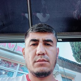 , 37, 