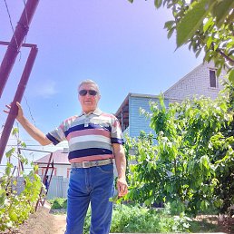 ��������, ���������, 60 ���