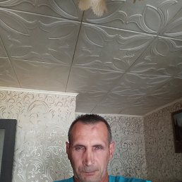 , 49, 