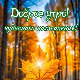 ���� ����� ���������, �����-���������, 50 ��� - ��������� 17 ������� 2025