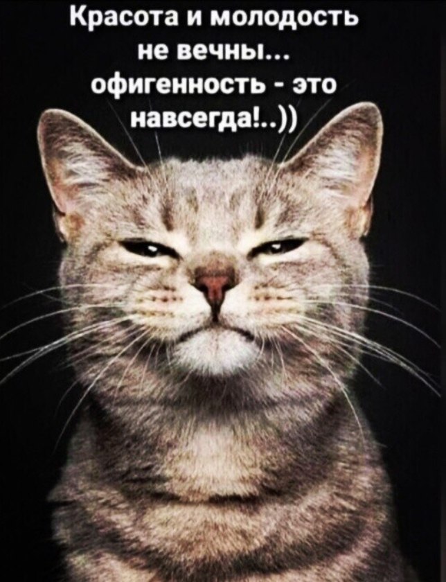  - 22  2024  22:16
