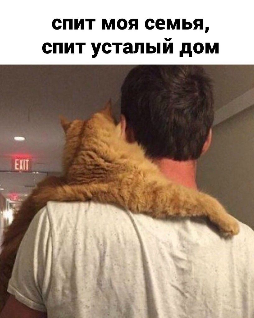 ����... �������? - 3