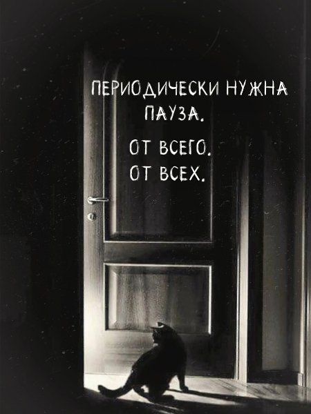  - 22  2025  06:26